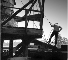 Feather Falls One 1963
